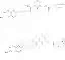 Fig. 76 - Folate Conjugates