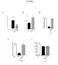 Fig. 08 - GENE THERAPY COMPOSITIONS FOR PREVENTING AND/OR TREATING OF AUTOIMMUNE DISEASES