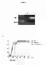 Fig. 09 - GENE THERAPY COMPOSITIONS FOR PREVENTING AND/OR TREATING OF AUTOIMMUNE DISEASES