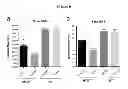 Fig. 07 - Recombinant virus products and methods for inhibition of expression of myotilin