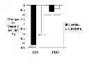 Fig. 06 - POLYPHENOL/THEANINE COMPOSITIONS