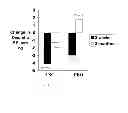 Fig. 07 - POLYPHENOL/THEANINE COMPOSITIONS