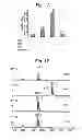 Fig. 02 - ASSAY FOR ARGINYL HYDROXYLASE ACTIVITY