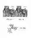 Fig. 07 - Polyphenol proteasome inhibitors, synthesis, and methods of use