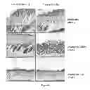 Fig. 08 - Methods and compositions for treating metabolic syndrome