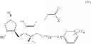 Fig. 64 - Methods and compositions for treating metabolic syndrome