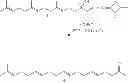 Fig. 04 - KIT OF OPHTHALMIC COMPOSITION