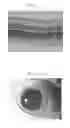Fig. 03 - SYNTHETIC VITREOUS MATERIAL