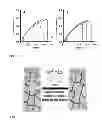 Fig. 08 - Olefin metathesis for effective polymer healing via dynamic exchange of strong carbon-carbon bonds