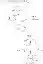 Fig. 22 - SUGAR CHAIN-CAPTURING SUBSTANCE AND USE THEREOF