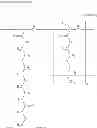 Fig. 40 - SUGAR CHAIN-CAPTURING SUBSTANCE AND USE THEREOF