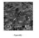 Fig. 06 - Polymer film-producing methods and devices produced therefrom
