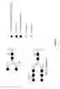 Fig. 02 - METHOD OF PRODUCTION OF SIALYLATED ANTIBODIES
