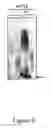 Fig. 09 - Immunoglobulin-binding proteins with improved specificity