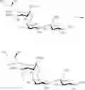 Fig. 28 - NOVEL GLYCOSYL PHOSPHITES