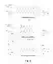 Fig. 06 - Method for preparing precursor used for labeling hepatocyte receptor and containing trisaccharide and DTPA ligand
