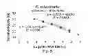 Fig. 06 - MOLECULAR STANDARDS FOR MICROBIAL PATHOGENS