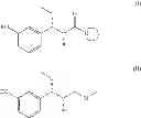 Fig. 02 - Substituted n-pentanamide compounds, preparation method and the use thereof