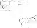 Fig. 06 - Method of preparing (S)-2-amino-5-methoxytetralin hydrochloride