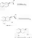 Fig. 08 - Method of preparing (S)-2-amino-5-methoxytetralin hydrochloride