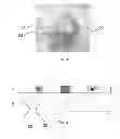 Fig. 03 - System and method to trigger breathing response for the reduction of associated anxiety