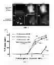 Fig. 08 - ACOUSTICALLY RESPONSIVE PARTICLES WITH DECREASED CAVITATION THRESHOLD
