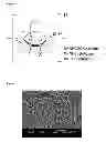 Fig. 02 - CHITOSAN BIOMIMETIC SCAFFOLDS AND METHODS FOR PREPARING THE SAME