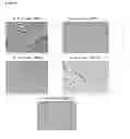 Fig. 06 - CHITOSAN BIOMIMETIC SCAFFOLDS AND METHODS FOR PREPARING THE SAME