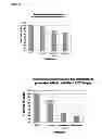 Fig. 09 - CHITOSAN BIOMIMETIC SCAFFOLDS AND METHODS FOR PREPARING THE SAME