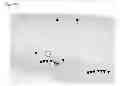Fig. 22 - CHITOSAN BIOMIMETIC SCAFFOLDS AND METHODS FOR PREPARING THE SAME