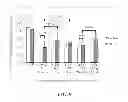 Fig. 08 - Method Of Drug Delivery For PTH, PTHrP And Related Peptides