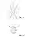 Fig. 07 - Microanchors for anchoring devices to body tissues