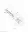 Fig. 02 - Bone stabilization device