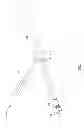 Fig. 08 - Screw for joint fusion