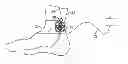 Fig. 01 - Method and apparatus for transdermal stimulation over the palmar and plantar surfaces