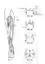 Fig. 02 - Methods, devices and systems for treating venous insufficiency
