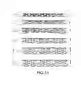 Fig. 22 - Segmented scaffold designs