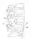 Fig. 01 - Spinal stabilization system and method