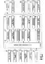 Fig. 03 - Method for controlling operation of internal combustion engine