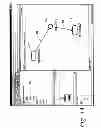 Fig. 05 - BLOCK DIAGRAM EXPLORER IN A METHOD AND APPARATUS FOR INTEGRATED MODELING, SIMULATION AND ANALYSIS OF CHEMICAL AND BIOLOGICAL SYSTEMS