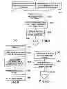 Fig. 09 - PORTABLE HAND-HELD MULTIFUNCTION DEVICE WITH MULTIPLE TRANSACTION AND REWARD ACCOUNTS
