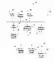 Fig. 01 - Organized Data Removal or Redirection from a Cloning Process to Enable Cloning a Larger System to a Smaller System