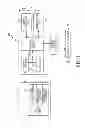 Fig. 02 - METHOD AND ELECTRONIC DEVICE FOR SYNCHRONIZING EMAILS