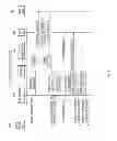 Fig. 06 - System, device and method for providing push service using feedback message