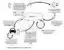 Fig. 01 - Platform Independent Multimedia Playback Apparatuses, Methods, and Systems