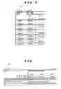 Fig. 07 - ADMINISTRATION INFORMATION GENERATION METHOD, ADMINISTRATION INFORMATION GENERATION PROGRAM, AND ADMINISTRATION INFORMATION GENERATION DEVICE