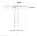 Fig. 07 - METHOD AND DEVICE FOR PROCESSSING DATA USING WINDOW