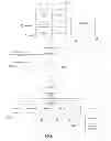 Fig. 02 - Memory-access-resource management