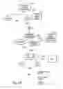 Fig. 32 - Tunneling using encryption