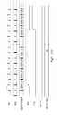 Fig. 167 - Data, mode and ready bit packets on bidirectional control/data leads